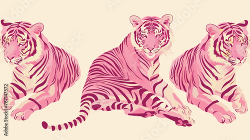 Pink tiger lies in three Four poses. Hand drawn Vector