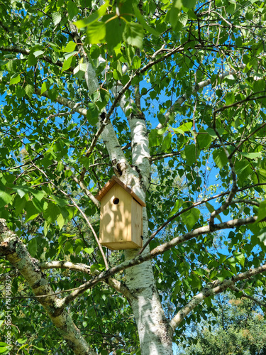 Nichoir pour abriter les oiseaux du jardin accroché dans un arbre vert au printemps © Olivia_cne
