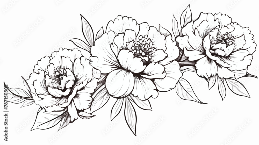 Peony flower blooming line art. Hand drawn realistic
