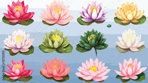 Photographic images of lotus flowers in various color