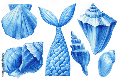 Blue summer set of seashells, isolated white background, watercolor hand-drawing, painting. Sea shells, Mermaid's tail © Hanna