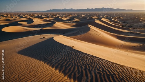 Aerial view of desert dunes