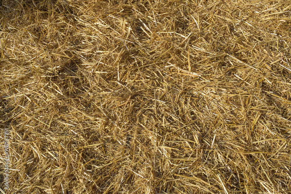 Hay Texture Background, Straw Pattern, Dry Golden Grass Mockup, Dry Baled Hay Bales Stacks Banner Hay Texture Background, Straw Pattern, Dry Golden Grass Mockup, Dry Baled Hay Bales Stacks Banner