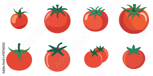 Vector illustration of tomatoes with multiple simple designs