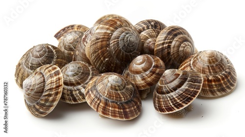 Snails in Burgundy Butter Sauce on a White Background