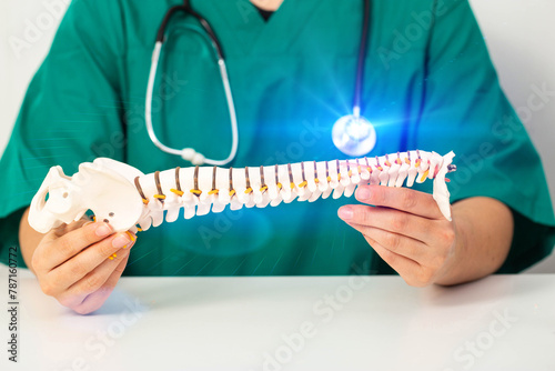 Doctor neurosurgeon holds a model of the spine in his hands. The concept of treating spinal diseases and intervertebral hernias with surgery, close-up photo