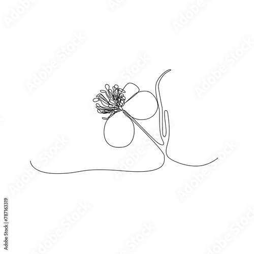 Continuous Line Celandine Flower, Minimal Chelidonium Majus Blossom Drawing, One Line Art Greater Celandine, Tetterwort, Healing Herbs Logo