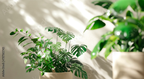 Tropical leaves pattern with monstera and palms - A vibrant pattern of tropical leaves featuring monstera, palms, and other greenery, ideal for backgrounds
