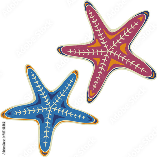 Starfish in cartoon style. Set. Marine icon. Summer vector illustration.