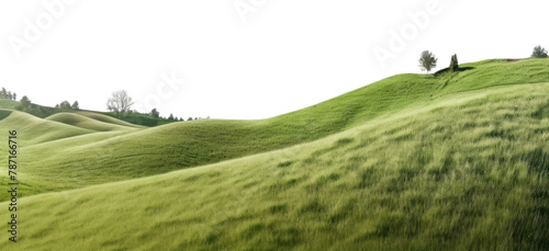 PNG Hill landscape grassland panoramic.