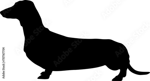 Dachshund Silhouette Graphic Design with Transparent Background