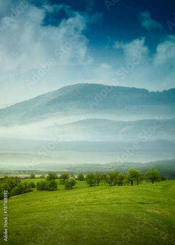 green field and blue sky in spring landscape