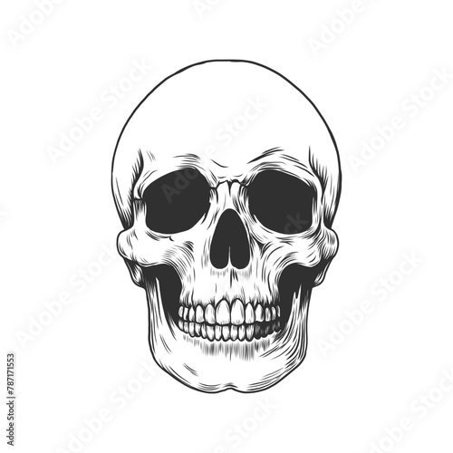 Black and white human skull. Monochrome vector illustration in engraving vintage style