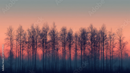 A forest with trees in the foreground and background