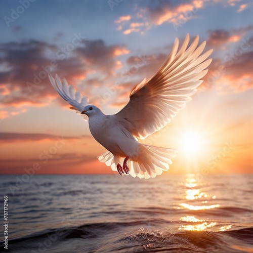 seagull in flight © Ahtesham