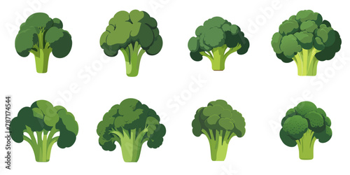 Vector illustration of broccoli with multiple simple designs