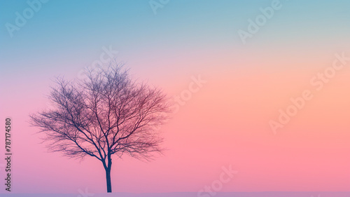 A tree stands alone in a field of pink and purple sky