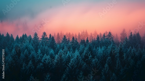 Aurora and sunrise. Most of the screen is the sky, below is the forest, Abstract and minimalist photography art photo