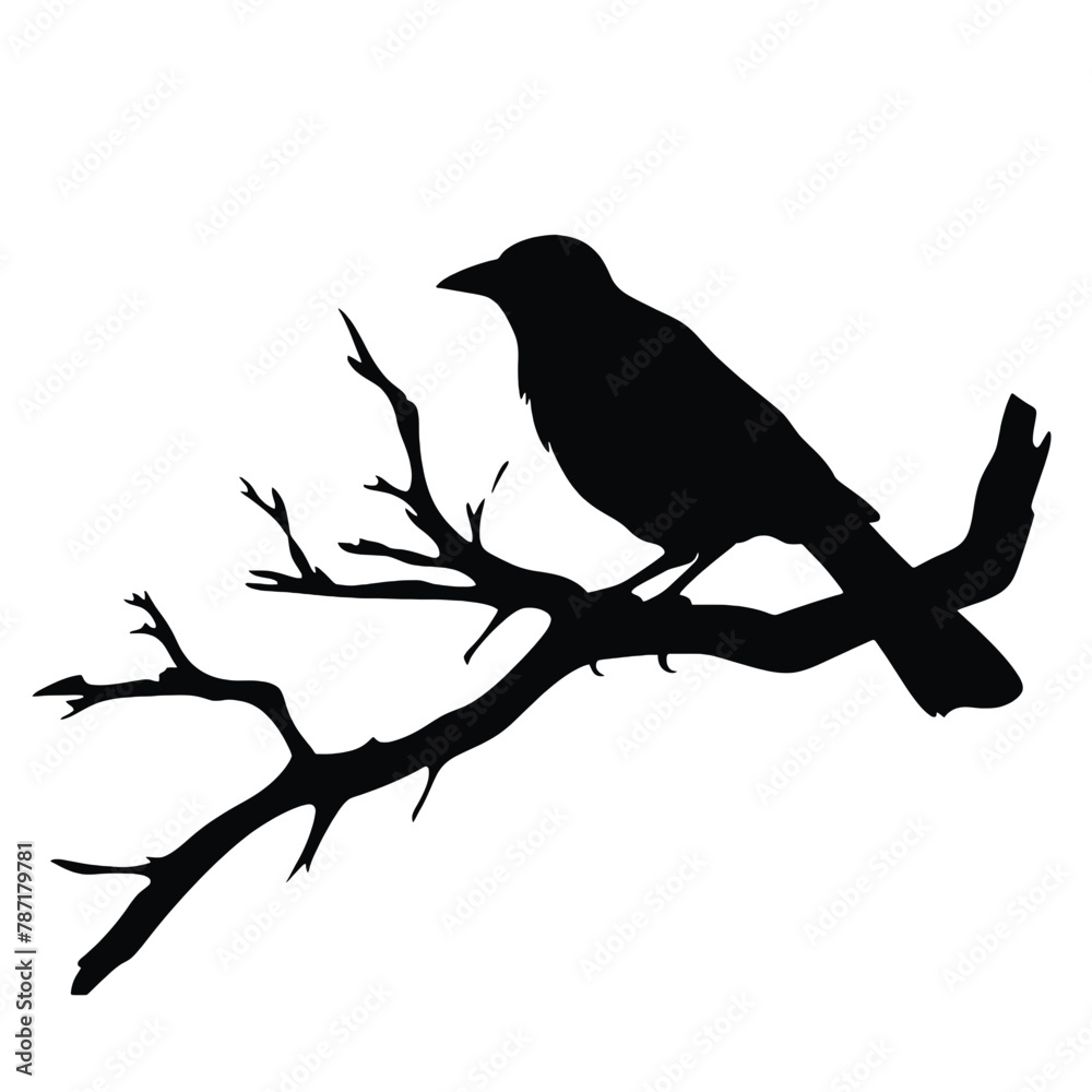 a bird sitting on top of a tree branch a bird sitting on top of a tree branch