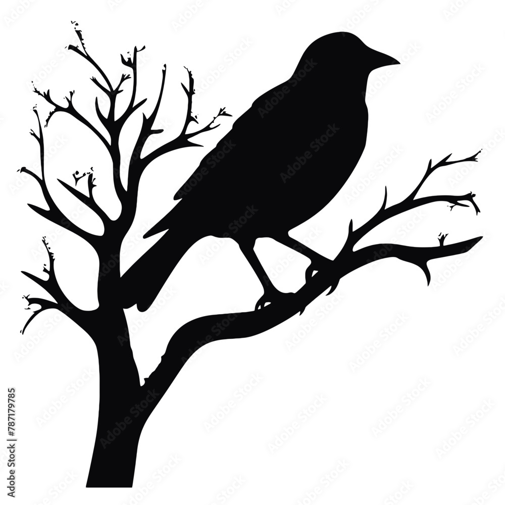 a bird sitting on top of a tree branch a bird sitting on top of a tree branch