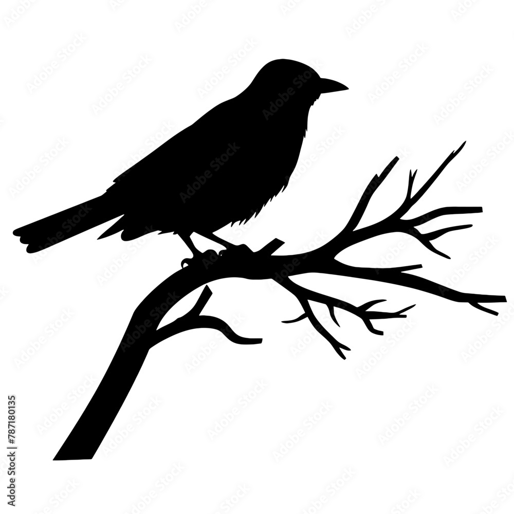 a bird sitting on top of a tree branch a bird sitting on top of a tree branch