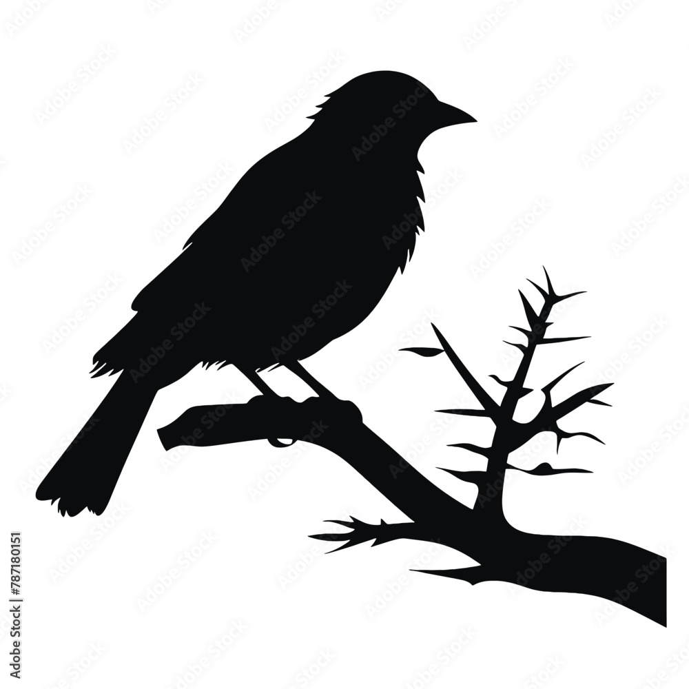 a bird sitting on top of a tree branch a bird sitting on top of a tree branch