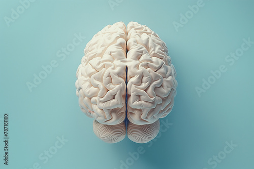Human brain Anatomical Model Pattern on light blue background. 3d rendering