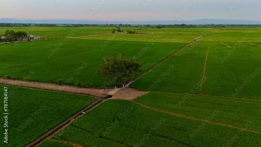 campo