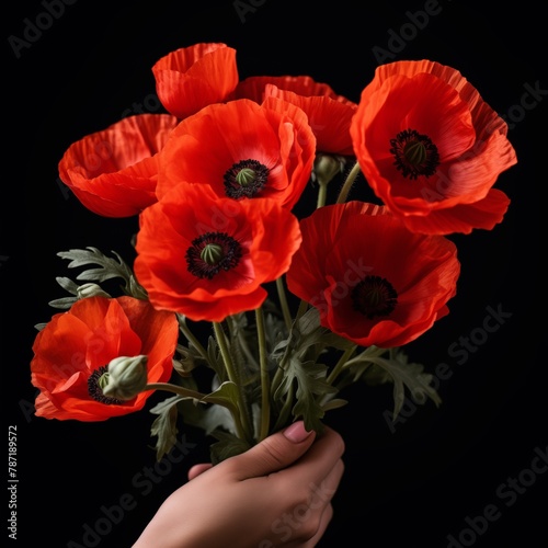 Person holding bunch of vibrant red poppies on dark background. Respect and remembrance concept