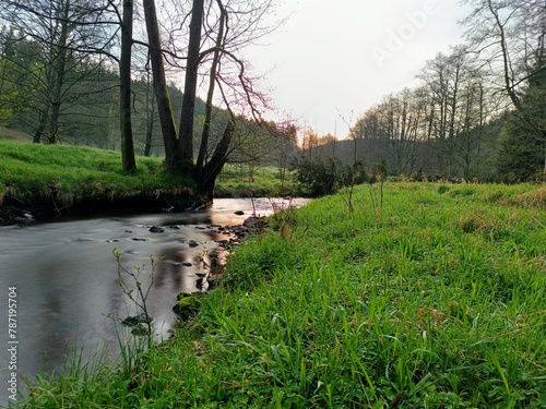 Velka Libava river near Kostelni Briza, Slavkovsky les, Czech Republic  photo