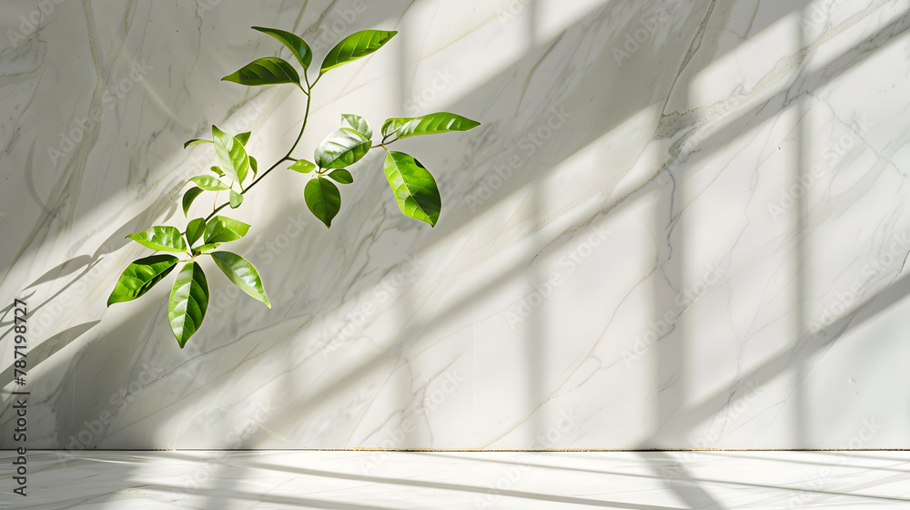 Spring sunlight in green branch of tree with shadow on white marble tile wall wood table copy space : Generative AI Spring sunlight in green branch of tree with shadow on white marble tile wall wood table copy space : Generative AI