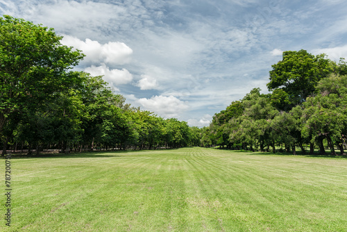 Beautiful landscape in park with green grass field