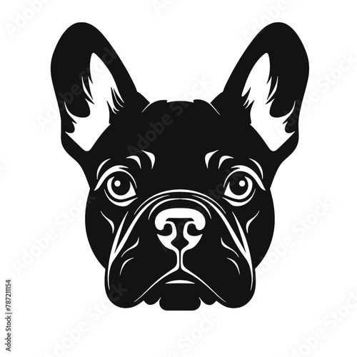 French Bulldog with sunglasses