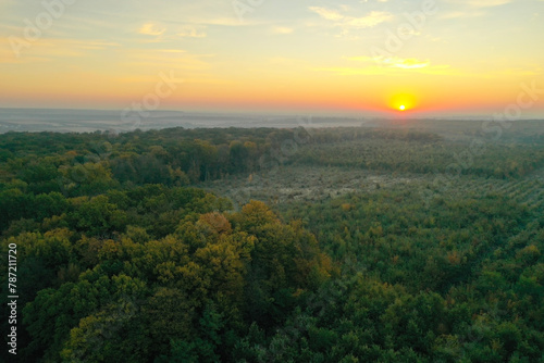 Aerial view of beautiful green autumn forest at sunset