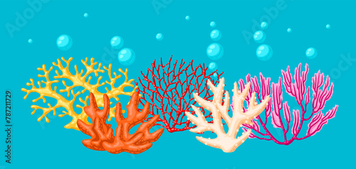 Background with sea corals. Marine life aquarium and water fauna.
