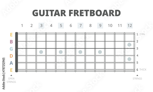 Guitar fretboard chart vector illustration. Guitar neck map with frets and six strings from the thickest to the thinnest. Guitar chart for beginners to learn about fretboard and strings on the guitar