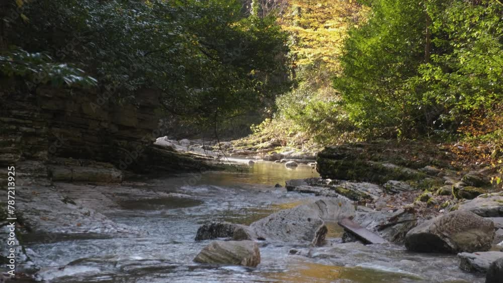 mountain river in a forest canyon, rocky river, 4k
mountain river in a forest canyon, rocky river, 4k