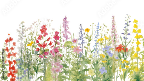 PNG  Pastel flowers backgrounds outdoors blossom © Rawpixel.com