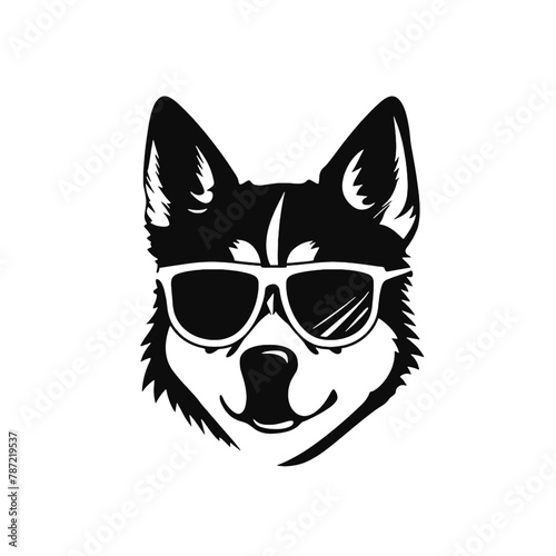 Husky banner template. Siberian Husky head on white background. Husky dog