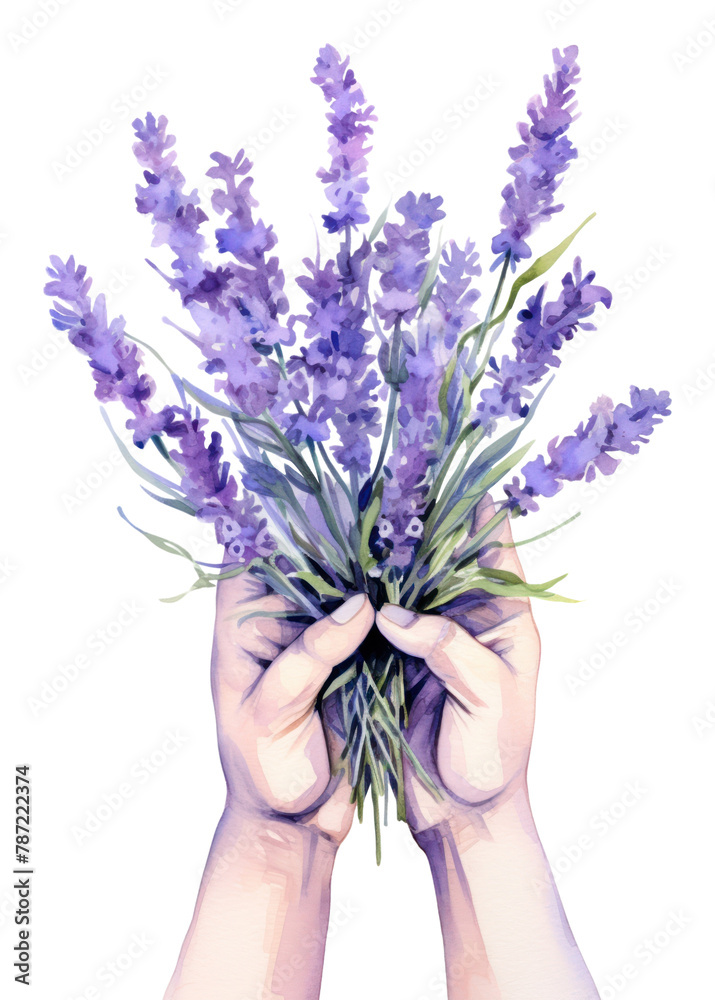 PNG handful of lavender transparent background PNG handful of lavender transparent background
