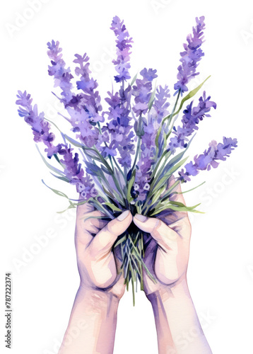 PNG handful of lavender transparent background photo