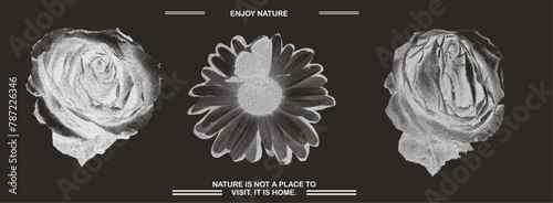 Vintage y2k set of roses, chamomile, butterfly with retro negative photocopy effect. Y2k grunge with a grainy effect and stippling. Vector illustration