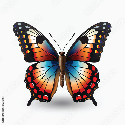 Aesthetic butterfly background galaxy butterfly wallpaper butterfly to colour in sunflower butterfly wallpaper fragility types of butterflies atala butterfly red admiral parsley caterpillar