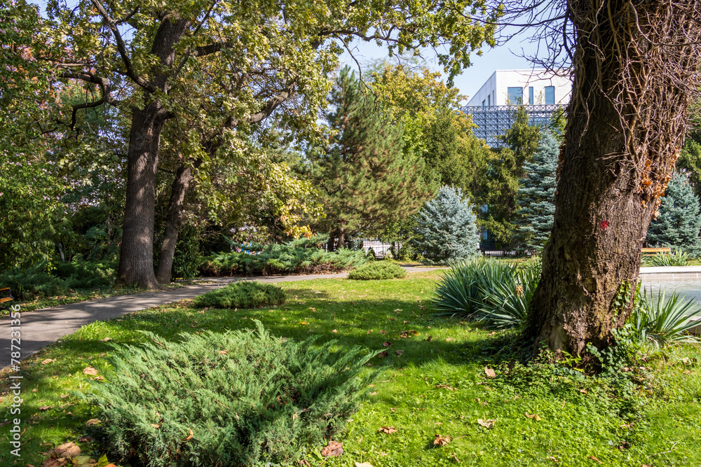 Landscape photo of beautiful green foliage a park