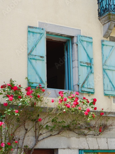 Old fashioned window with blue shutters overgrown by vivid rose plant in Arreau village, rural France