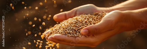 Hands pouring a handful of wheat grains
