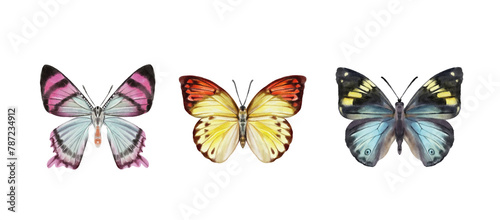 Watercolor colorful butterflies, isolated on white background. blue, yellow, pink and red butterfly  © Мария