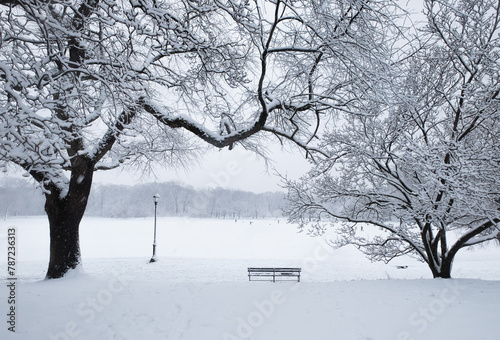Bench and bare trees covered with snow in Brooklyn Prospect Park