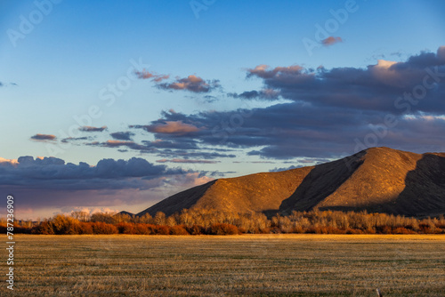 Field and hills at sunset