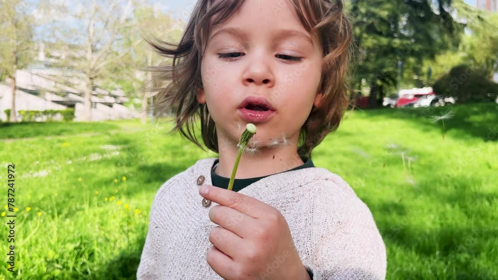 A little boy blowing the white seed heads of a dandelion A little boy blowing the white seed heads of a dandelion
